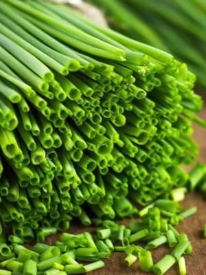 Ward Off Evil, Break Hexes, And Fight Off Bacteria With Chives! 💚 #witchesofinstagram #wicca #chives #witchcraft #power