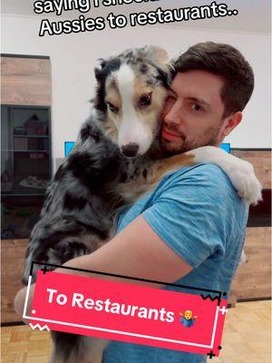 There’s a reason you don’t see Aussies there… #dogdad #aussies #dogsoftiktok #dogsvideo #hadesjaznateadventures #theaussiefam 