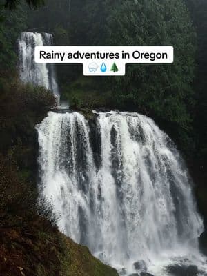 When life gives you rain, I hope you go play outside 🌧️💧🌲 The waterfalls are better, the air is fresher, and I promise you the adventure is always memorable 😂  #waterfallwonders #oregonhikes #rainyadventures #winterinoregon #pnwonderland 