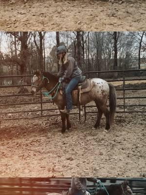 And you can take this dude home.. 🙃 Really digging this fella! Like ALOT! The size, the curls, the color, and his trot is so floaty! 😍 Text 📲 931.206.5507 to come meet him in person!! #coltstarting #roundpen101 #fundamentals #horsetrainer #cowgirltok #clienthorse #appy #appaloosa #curlyhorse #gelding #consignmenthorse #workflow #fypシ 