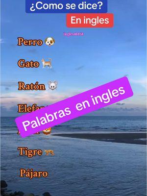 Palabras en ingles #ingles #inglesfacil #inglesrapido #ingles48168 #inglesamericano 