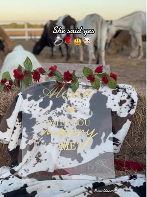 Our cousin proposed at our family ranch 🤠🐮💍 #morinranch #shesaidyes💍 #westernproposal #ranchlife #proposal #proposalvideo #rgv956 #marryme #fypシ #fypシ゚viral #cowsoftiktok #cowlovers #weddingproposal #soontobemrs #westernstyle #countrylove #rancho #couplestiktok #willyoumarryme #cattleranch #cattle #countrymusic #soontobemarried #foryoupage @Fonzi shotguns @lex 