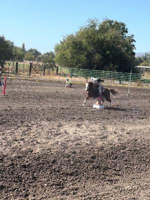 The good thing about ponies is ur closer to the ground 😜 #viral #horse #equestrian #gingerthewelsh #speedball #cga #gymkhana 