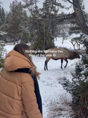 Montana will forever have my heart 🥹 Forever in love with it! #montana #yellowstone #montanainthewinter #montanamoment #montanamountains 