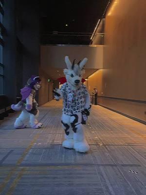 Bloopers #OwenTheWolfDragon #kcwolfechild #comedy #dance #ANWFurryCon #fypシ゚viral #fursuiters #transman #furryconventions #draftpost @Kcwolfechild 🔜ANW2025 