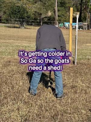 It’s getting colder down here in South Georgia so the goats need a shed. That was our project for today and we almost finished it. Just a little more to go update tomorrow. #gigihollycreek #Goats #goatsoftiktok #goatshed #southgeorgia 