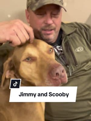 Has Scooby found someone else? #farmtok #constructiontiktok #dog #dogsoftiktok #dogsvideo #PetsOfTikTok #pet #bts 