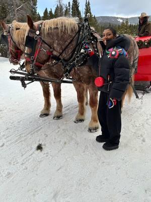 This is your sign to book that sleigh ride ⛷️❄️☃️ #colorado #breckenridgecolorado #sleighride #skitrip 