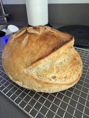 First #sourdough loaf of 2025! #sourdoughtok #sourdoughbread #bakingsourdough #scoringsourdoughs 