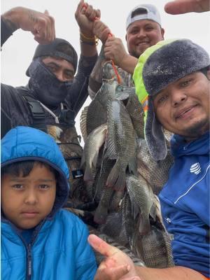 Pesca de tilapias en Lake Fayette  #frankbigfishtx #pesca #fishing #houston 