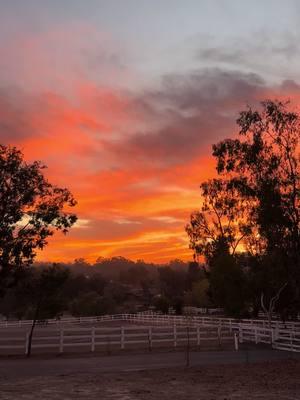 Ranch night sunsets 🙌🏻😍 #ranchlife #socal #sunsets #bestsunset #colorful #nature #winternight 