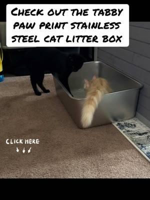 #litterbox #stainlesssteellitterbox #pawprint #cats #kittens #catsoftiktok #fyp 