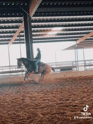 Chisum with the Autism is what we call him 🫶🏼 #texas #coltstarting #barrelhorses #newyears #fyp #foryou #aqha #snafflebit #tombalding #coltstarter 