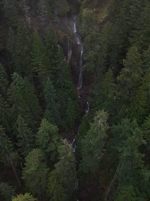 found a new set of waterfalls to go on future treks. to the best of my knowledge no one has seen these yet!  #waterfalls #oregon #pnw #pnwonderland #wanderlust #wanderer #waterfall #Hiking #explore #photooftheday #photography #river #adventures #longexposure #cascadiaexplored #nature #naturephotography #naturelovers #Lifestyle #outdoorsman #liveoutdoors #Outdoors #optoutside #pacificnorthwest #dronephotography #adventure #explorepage #sonyalpha #photographer #drone 