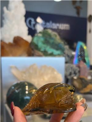 Holding this amber carving feels like touching the heartbeat of creativity itself. The level of detail and artistry is so stunning, it awakens the dragon of imagination within. #amber #carving #ambercarving #crystalcarving #crystals #gems #mineral #minerals #crystalarium #visitweho #crystalcollection #crystalshop #fineminerals #crystalhealing #dragon #westhollywood #weho #sale #holidaysale #extendedsale