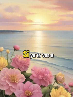 Feliz noche, que descansen 🙏#CapCut #catolicos #catolicosoy #oraciones #oraciondelanoche #dioshasidobueno #tiktokviral #orandocontigo🙏💞 #TikTokLIVE 