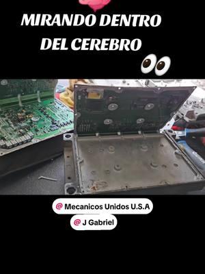 ☎️5️⃣6️⃣1️⃣//9️⃣8️⃣5️⃣//3️⃣0️⃣2️⃣1️⃣ GABRIEL @mecanicos.unidos_u.s.a #serie60 #diesel #detroit #kenworth #caterpillar #mecanicadiesel  #camioneroscubanos #trucker #truck #trucks #trucking #trucktok #truckpower #dieselmechanic #truckdriver #camioneroslatinos  #trailero #camion #camioneros #camiones #camionero #camionerosusa #camionera #dieselpower #dieseltruck #diesellife #volvo #frightliner #peterbilt #mecanica #truckrepair 