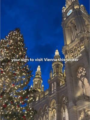 📍Vienna, Austria🇦🇹 #viennacity #viennaaustria #austria #wintertrip #viennaholiday #traveltok #europetravel 