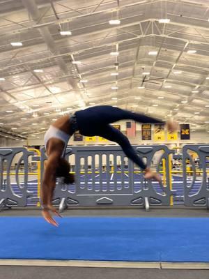 Reminiscing since my swollen ankle is still being uncooperative 🥲  #Michigan #Umich #GoBlue #TrackAndField #Gymnastics #MultiSport #Athlete #Challenge #FitnessMotivation #WorkoutMotivation