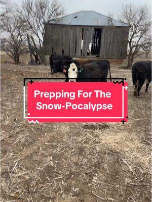 What a day…I would have liked to have gotten more things done before today. But with a sick kiddo and family, there wasn’t enough time to do my usually thorough prep work. It may have been a long day!  But at least nearly all the checklist was done! #fy #fyp #farmtok #ranchtok #agtok #kansas #cattle #regenerativeagriculture #covercrop #snow 