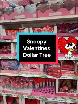 Snoopy finds @Dollar Tree  #snoopy #snoopyvalentine #esnupi #peanuts #snoopylover 