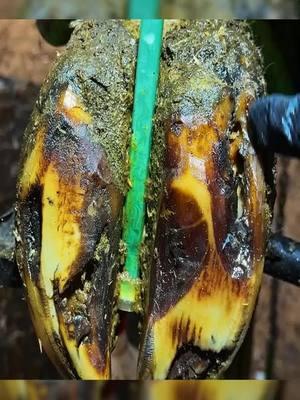 HORRENDOUS HOOF ... turns to perfection-Part 1#satisfying #oddlysatisfying #asmr #farrier #cow #cows #TheHoofGP#horse #hoof #hooftrim #hooftriming #hoofpick #hoofcleaning #hoofcare #hooftok #horse #farrier #farriersoftiktok