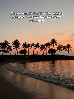 🌺🌴💛🍍✨ #creatorsearchinsights  #TravelingBellaJoy #FlightAttendant #FlightAttendantLife #flightattendantdayinthelife #flightcrew #flightcrewlife #flightcrewlifestyle #worklife #commutingflightattendant #flightattendantcommute #flightattendantschedule #flightattendantlayover #londonliving #movingabroad #movingtolondon #lifeabroad #londonlife #miamiflightattendant #travel #traveltips #flighttips #traveltricks #travelhacking #firstflight #traveltipsandtricks #nonrevlife #nonrevtravel #flyingstandby #standbytravel #hawaiivacation #vacationmood #hawaiiansunset #hawaiisunset #oahu 