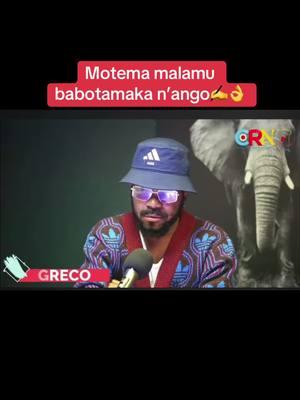 #tiktokcongokinshasa🇨🇩🇨🇩🇨🇩 #fallyipupa #goloise👑❤🥰🇨🇩🇨🇭 #kinshasa🇨🇩 #tiktoksouthafrica #emeneya #ferregolarumba🇨🇩🇨🇩🇨🇩 #fallyipupa #ferregola_lepadre #heritierwatanabe #canada_life🇨🇦 @ @Mr Elpitsh 🤝🤝🤝 