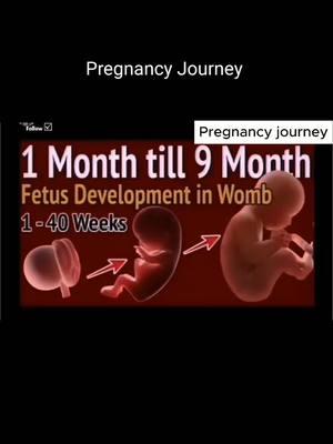 Pregnancy Journey A - Z #pregnancy #pregnancyjourney #pregnant #journey #baby #doctor #fetus #fetal #devlopment #women 