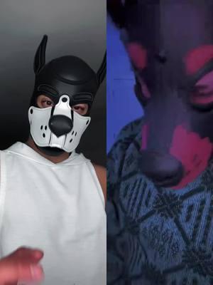 #duet with @Domingo #humanpuppyplay We’re all getting a little slap happy #humanpup #puptok #puppyplaycommunity #kinkcommunity #boopthesnoot #tiktokpuppack 