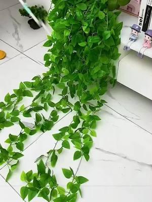 Climbing Vine Plant Fixer - Make Your Greenery More Beautiful!This climbing vine fixer easily attaches to the wall, and with a simple clip, it securely holds your plants in place. It helps your pothos or other vining plants grow stable, and allows for creating beautiful shapes. Make your home more vibrant with lively plants!#VineFixingClip #PlantHolder #PothosFixer #HomeGreening #PlantCare