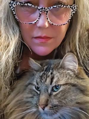 my protector.... xanderman #myloves❤️ #xander #30lbmainecoon #fyp 