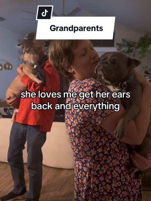 Furry grandkids  are the best 🤣 #lavenderandlatte #granddogs #grandparentsoftiktok 