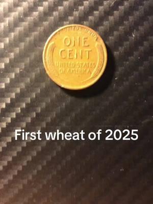 #coins #coinfamily #wheatpenny #foryoupage 