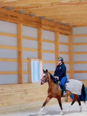 Quite obsessed with him. He’s learning to carry himself so much better ! #standardbred #standardbredsoftiktok #standardbredracehorse #fyp #foryou #hearthorse #trotting #hunter #hunterjumper #indoor #indoorarena #bay #baygelding #gelding #rambo 