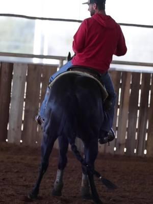 Philippians 4:13: “I can do all things through him who strengthens me." #laubscherperformancehorses #TEAMLPH #NRCHA 