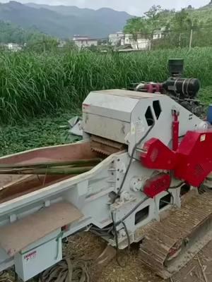 Bamboo crusher #woodcrusher #treecrusher #woodchipper #woodcrusher #fuelpellets #bamboocrusher #pelletmaker #pelletmachine #pellet #treecrusher #pelletmachinefactory #chipper #crusher #feedpelletmachine #pellet 