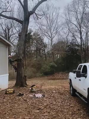 #house #power #lines #sendit #treeremoval #fypシ #timber #work #climber 