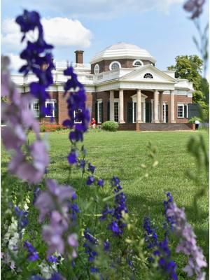 Annette Gordon-Reed’s resignation from Monticello’s board and the naming of Jane Kamensky as president felt like a turning point a year ago. But in light of what’s unfolded at heritage sites since—compliance, silence, and sanitized narratives—it hits very different now. #publichistory #accountability #monticello #thomasjefferson #sallyhemings #gwmountvernon 