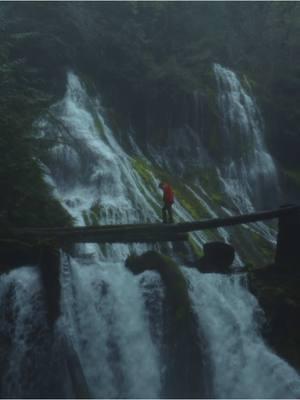 the pnw is calling…  #explore #travel #cinematic #sonyalpha #wander #pnw 