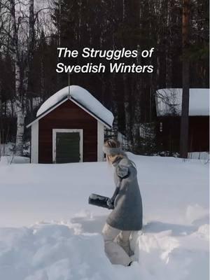 There may be several feet of snow, but spring preparation waits for no one. #sweden #nordiclifestyle #winter #snowday #blizzard