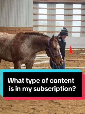 This is the exact type of video you’ll find in my subscription.  Unedited moments with the horses.  No voices.  No pretty angles.  I show you bits and pieces of Taz’s training and explanations behind it.  Just more realness and open information about my life.  I also answer your questions-to the best of my knowledge.   All of my subscribers are encouraged to ask questions or request a video.  I have the subscription as low as it can go and I have no intentions on raising it.  It was honestly created by accident and when I spoke about getting rid of it on a live a bunch of ppl subscribed and then asked me to keep it.  The only thing I’m not going to tell you is Ember’s due date 😂🙈🤐  #Taz #Ember #subscribe #subscription 