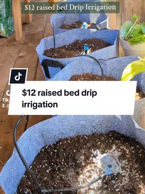 Replying to @user5012461247976 Here's the little drip system I used! I think it works well for small spaces like raised beds, porches, decks, grow bags ECT. it is a drip system, so no water pressure. I put things like tomato's closest so they get more water and plants that don't need as much at the farther end ❤️ Hope this helps!  #dripirrigation #raisedbedgarden #raisedbed #growbags #containergarden #watersystem #garden 