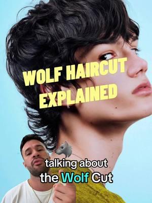 Ever wondered why everyone’s talking about the wolf cut? Let me break it down for you.”  “The wolf cut is the perfect mix of a mullet and a shag—think edgy, layered, and effortlessly cool.  But Here’s what makes it stand out: it’s all about texture. This cut works best on medium to long hair, and it’s designed to give you that messy, lived-in look that screams ‘I woke up like this.’ So if you’re into that clean cut look, this one ain’t for you The layers are everything. The wolf cut has heavy layering at the top, which gives you volume and movement, while the back stays even longer for that mullet vibe. It’s incredibly versatile. Because of the length you can basically style the top in different ways. Plus, it works for straight, wavy, or curly hair. But The secret to pulling this off?  It’s a good haircut Products like Sea salt spray, high hold matte paste and a blowdryer with a diffuser.  If you want this haircut be prepared to put in some work into styling it.  but yeah This hairstyle is everywhere for a reason.  Follow me for more hairstyle breakdowns like this! #wolfhaircut #shaghaircut #menshair #menshairstyle #seasaltspray #middlepart #menshair2025 