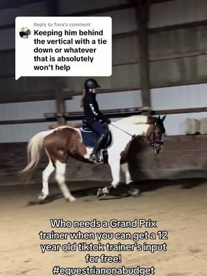 Replying to @Tuva ugh what would I do without you!!! 😂#horses #mares #horse #mare #tiktoktrainer #equestrian #horsesoftiktok 