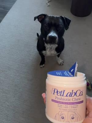 Brooklyn 🐾🐾🐾🐾is super obsessed ❤️ with @PetLab Co. #petlabco #dogprobiotic #fy 