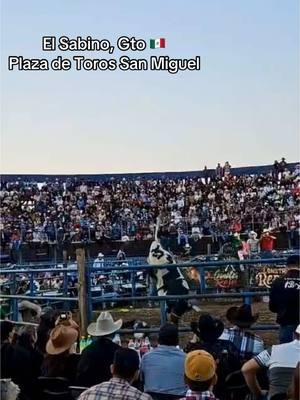 La monta más rápida del año!  Fiesta de Enero - El Sabino, Guanajuato 🇲🇽 #monta #montas #jaripeo #fiestadenero #fiesta #elsabino #toros #elsabinogto #elsabinoguanajuato #guanajuato #mexico #gto #mex #mochilazo #mochilazoviajando