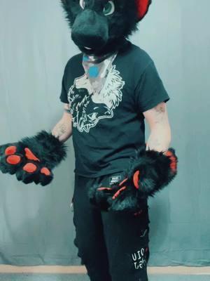 #furryfandom #fursuit #dinomaskfurry #puphood #fursuiter #furryfanfom2025 #furry #furrytiktok #furrycommunity 