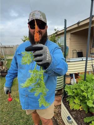 Plants You Don’t Have to Protect from the Freeze! #greenhousegarden #greenhouselife #greenhouse #radishes #gardening #texasgardening #texasgarden #garden #homeandgarden #texasgardener #texasgardenguy #freeze #letsgrowtogether #houstontexas #winterplantcare # 