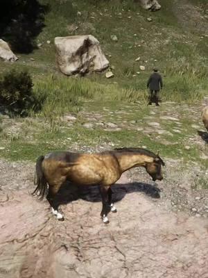 Survival Tips Daily  #rdr2edit #survival #survivalmode #survivalgame #survivalskills #rdr2clips 